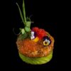 TARTAR DE TON